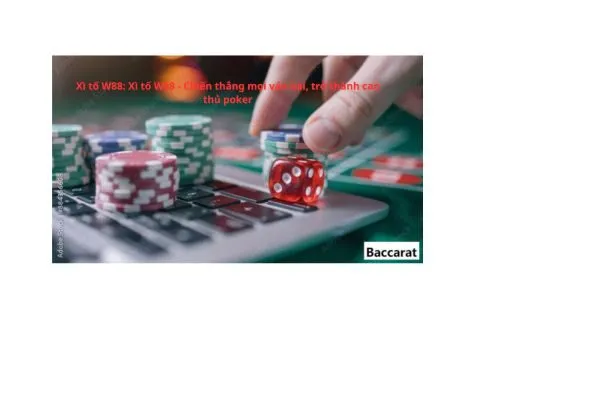 Xì tố W88 Xì tố W88 Chiến thắng mọi ván bài trở thành cao thủ poker