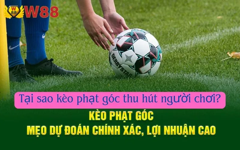 Tại sao kèo phạt góc thu hút người chơi