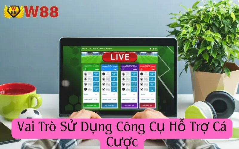 Vai Trò Sử Dụng Công Cụ Hỗ Trợ Cá Cược